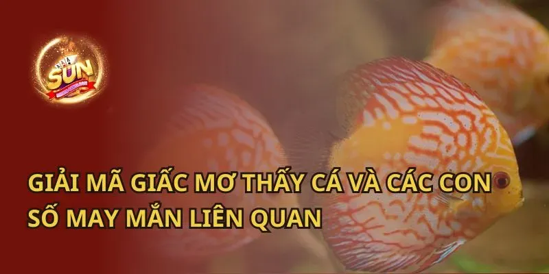 mơ thấy cá bơi trong nước trong điềm gì