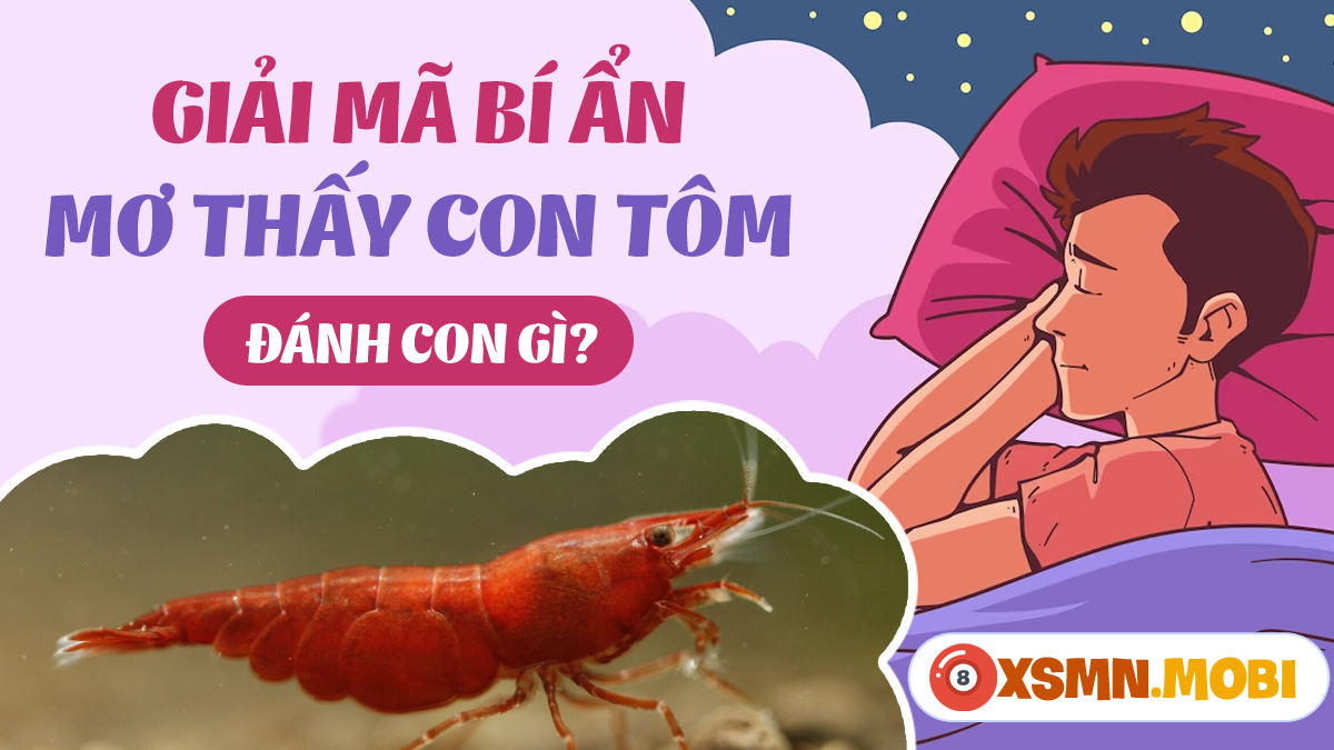 Nằm mơ thấy tôm sú đánh số gì