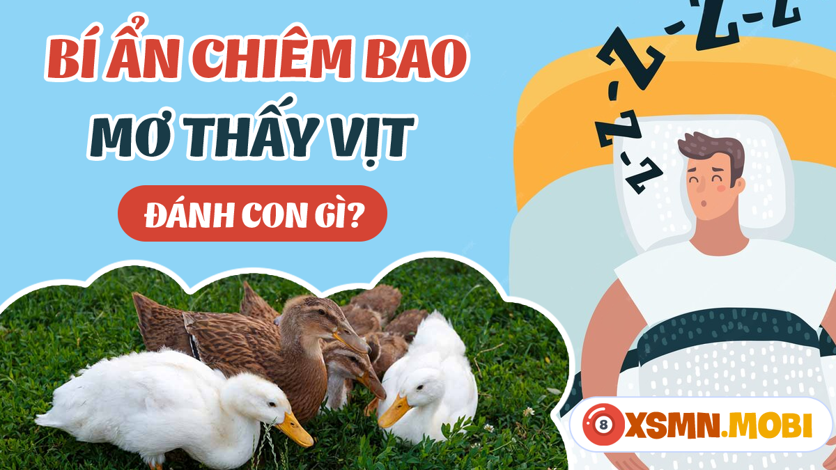Soi cầu may mắn khi nằm mơ thấy vịt chết, tìm con số lô đề