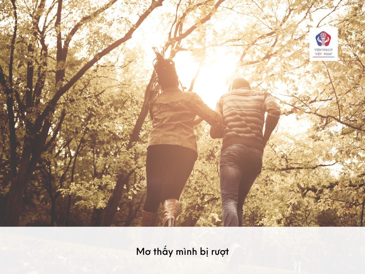 Người giải mã giấc mơ chuyên nghiệp đang tư vấn